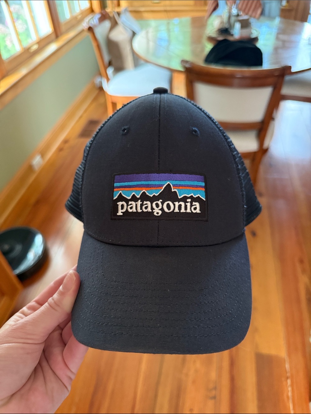 Patagonia Black Trucker Hat with Multicolor Mountain Patch